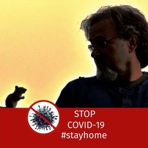 Meet your Posher, Lundy